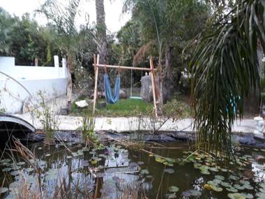 Kmo Yam In The Love Garden