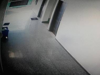 OYO 88032 Hotel Bhagwati Palace And Restaurant