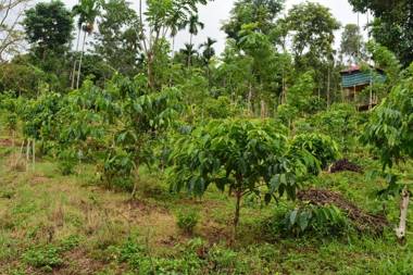 Stream Garden Mountain Resort