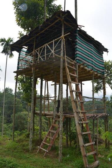 Stream Garden Mountain Resort