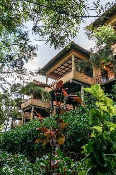 Wayanad Village Resort