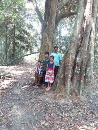Wayanad Homestay
