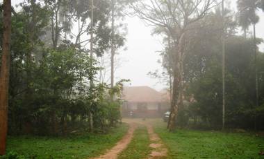 3 HILLS COUNTY HOMESTAY