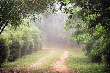 3 HILLS COUNTY HOMESTAY