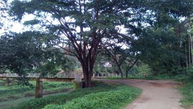 Family villa is a hut style accommodation