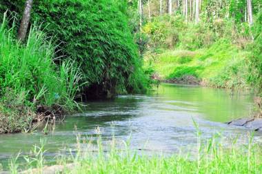 Chamayam Holiday Villa