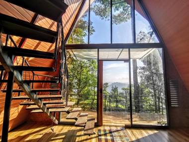 Wild root stay- Orchid Chalet