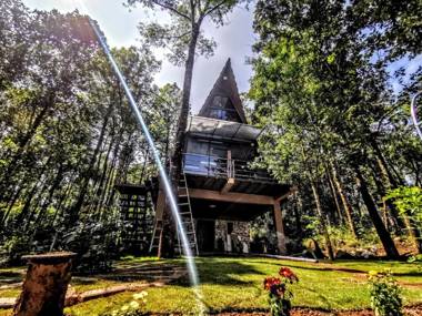 Wild root stay- Orchid Chalet