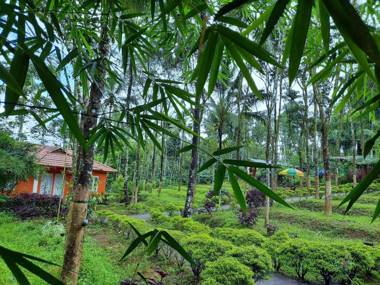 Himadri Retreat Villa