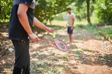 LivingStone Reflektions