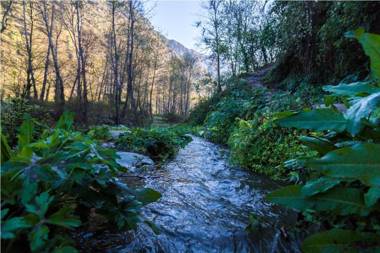 NotOnMap - Rafi's House