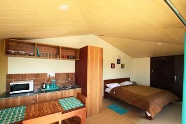 Nest and Hives Motiapathar/Mukteshwar