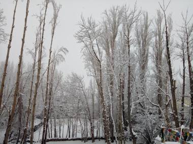 Mentokling Guest House and Garden Restaurant