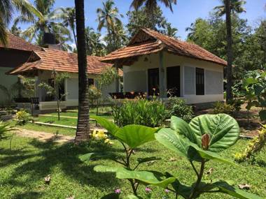 Divine Bliss Beach Resort