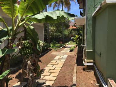 Divine Bliss Beach Resort