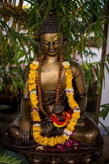 The Pathwalkers' Habitat