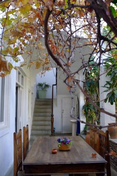 Urban Nomads Udaipur Hibiscus