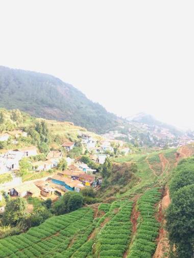 Mountain View cottage