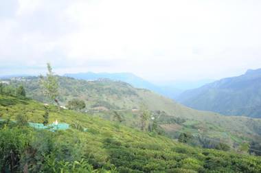 The Views - True Baduaga Living