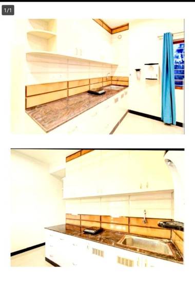 Pine forest view residency