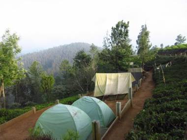 JFR Campsite Ooty