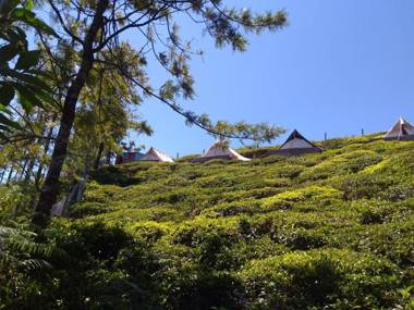 JFR Campsite Ooty