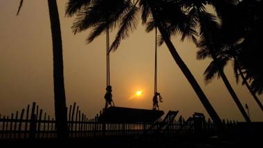 Wild Palms on Sea