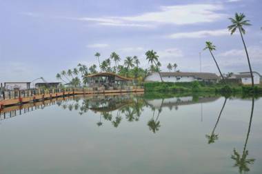 Aquatic Island by Poppys Kochi