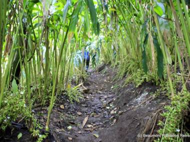 Beaumont Plantation Retreat