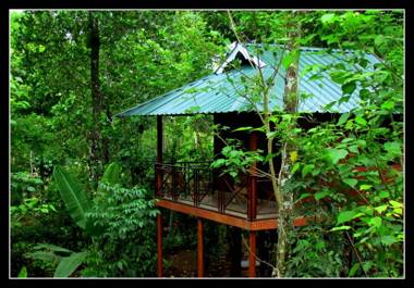 Monsoon Retreats Ecostay