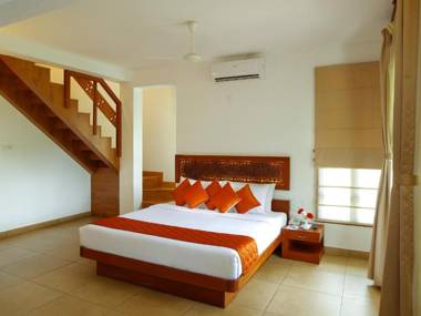 Forest Canopy Thekkady