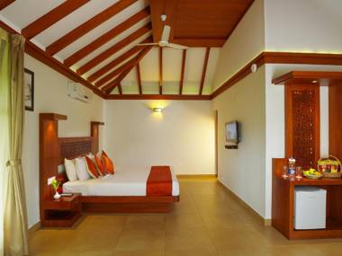 Forest Canopy Thekkady