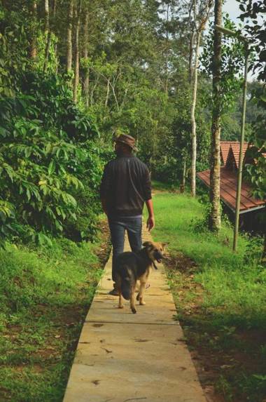 Estate Stay - Riverside Coffee