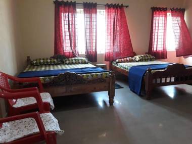 Vamoose Mystic Green