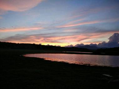 FoRest cottage coorg