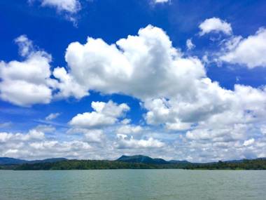 FoRest cottage coorg