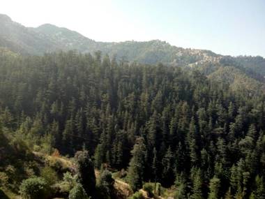 Perfect Holiday Home for Family