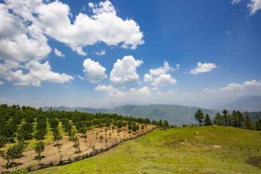 Zostel Homes Kotkhai (Shimla)