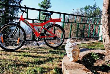 Merlin Grove Suites Simla