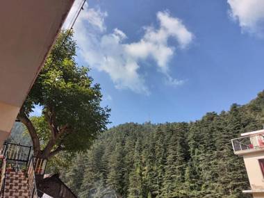 Shimla Pines Homestay