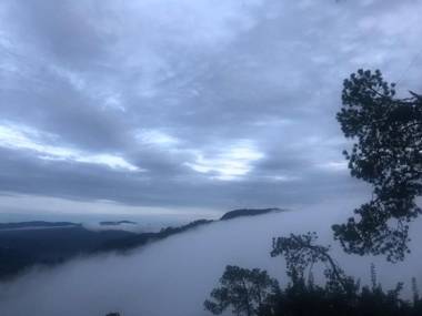 THE WESTBERRY 50mtrs offroading and 50 mtrs nature path