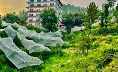 Hotel Radiance Regency