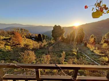 Dak Bangla Cottages "Be My Guest"