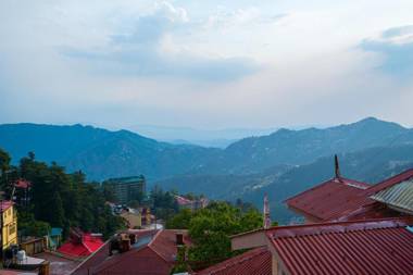 The Hosteller Shimla
