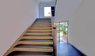 Treebo Trip Mountain Green