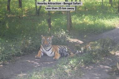 OYO 19815 Krishna Guest House