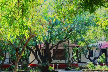 The Wilds Villa Gir Jungle Stay with Swimming Pool