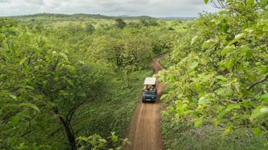 Aramness Gir National Park