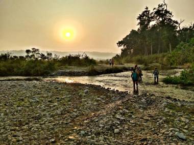 Nature Care Village- Rajaji National Park
