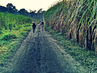 Nature Care Village- Rajaji National Park